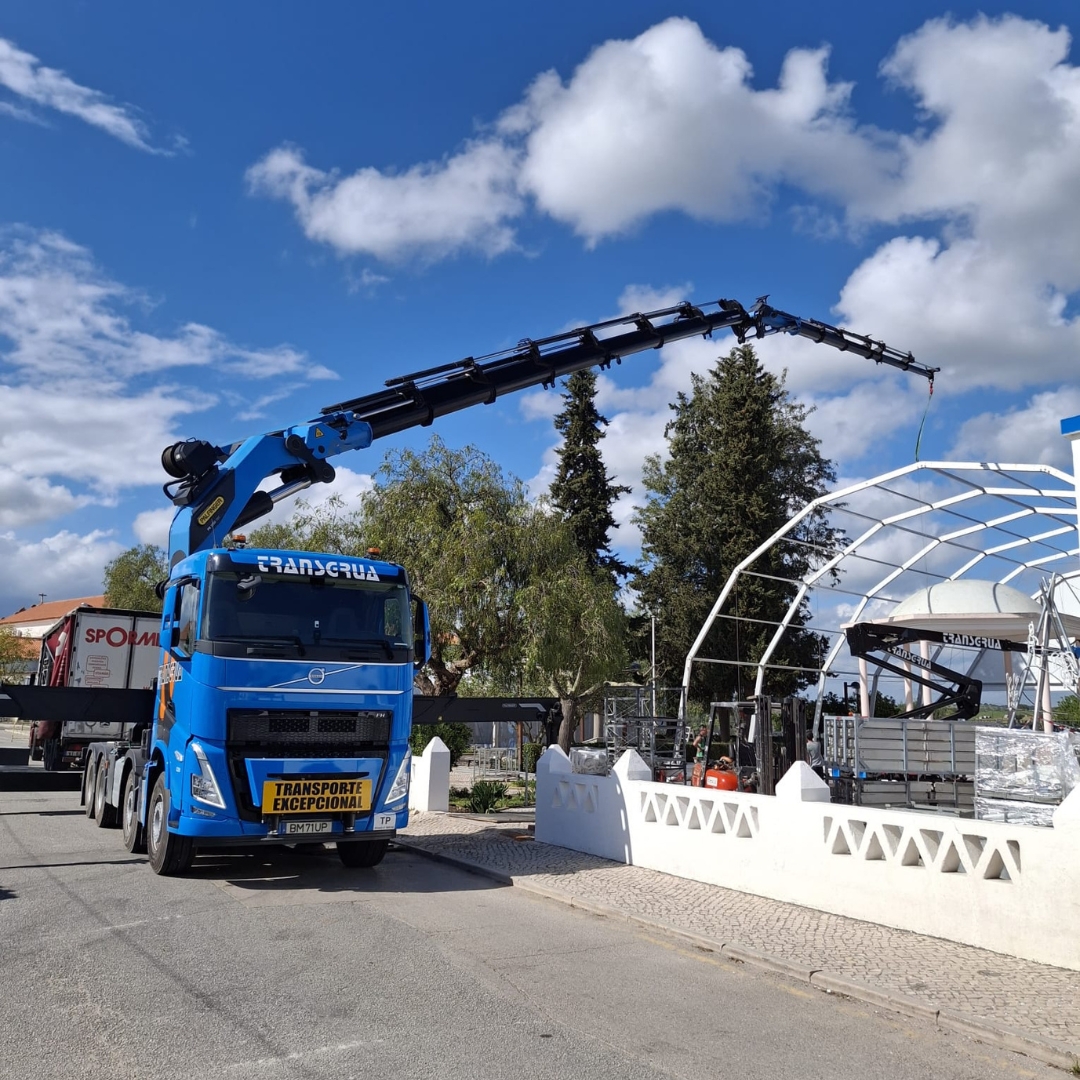 Sem nome (1080 x 1080 px) (34) - cópia Camião grua - Image 1